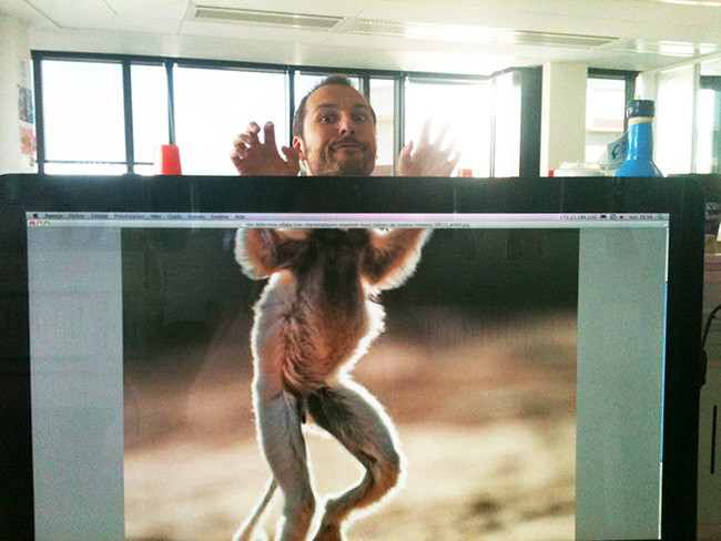 Sau đó phóng to lên và để khuyết một phần bộ phận của động vật.