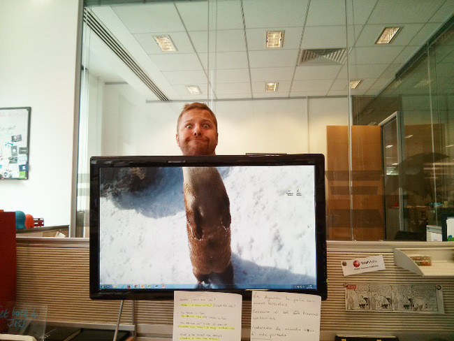 Ở nhà nhiều quá, phải vươn cổ lên "hóng" mọi người đang làm gì.