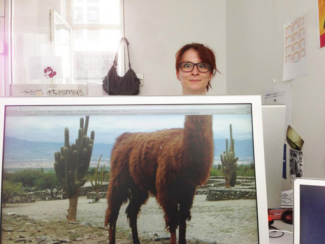 Để tạo động lực cho trào lưu này, nhiều dân mạng để lại dòng bình luận: "Hãy cùng bật màn hình một con vật bạn yêu thích và tạo dáng".