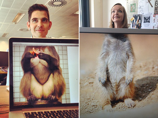 Cuối cùng, bạn hãy "lấp đầy" phần khuyết thiếu đó bằng bộ phận của chính mình và chụp ảnh lại.