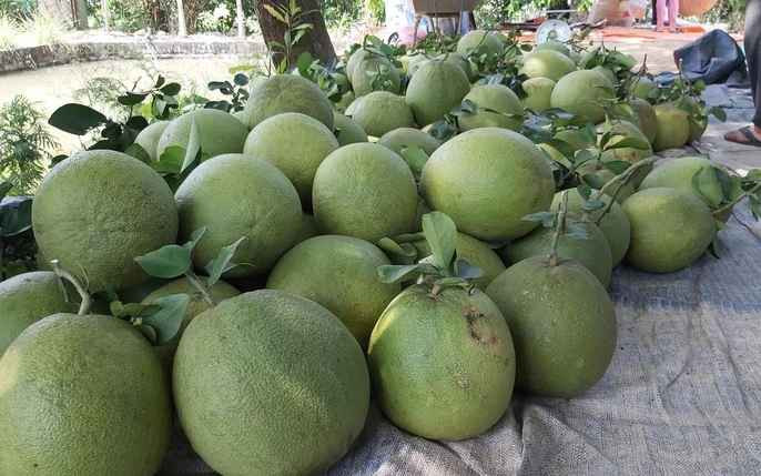 Hình ảnh có phần quen thuộc này càng khiến cho cái Tết miền Bắc trở nên vui vẻ, đầm ấm và thú vị hơn rất nhiều.