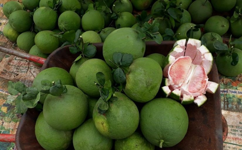 Có nhà xếp ở cầu thang, có nhà thì để trong gầm tủ, gầm giường, gầm cầu thang, thậm chí nhà nào mua nhiều thì xếp luôn ra một góc nhà, góc sân.