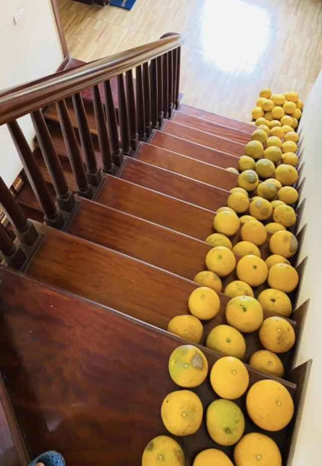 Đến hẹn lại lên, cảnh tượng có tới cả trăm quả bưởi được xếp la liệt trong sân của một gia đình với chú thích "đặc sản Tết miền Bắc Việt Nam" nhận được sự quan tâm của đông đảo cư dân mạng.