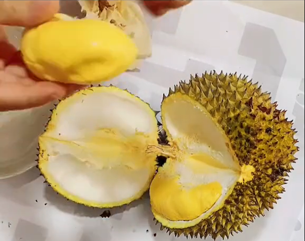 Từng múi sầu riêng được cô gái bổ ra khá thuần thục.