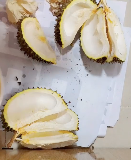 Và những hộc trong quả sầu riêng được tìm hết nhưng kết quả cuối cùng vẫn là 8.