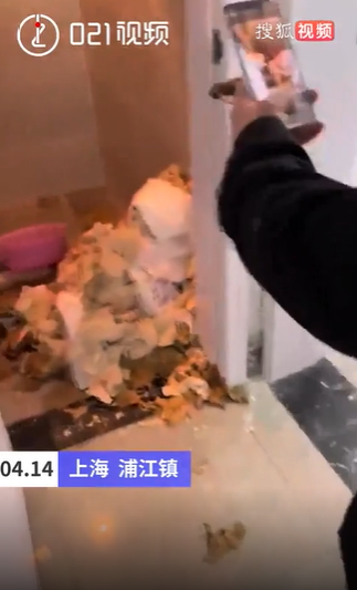 Sau khi mở cửa bước vào, cả hai người đã vô cùng sốc trước những gì bày ra trước mắt. Thứ đầu tiên xộc vào mũi họ là một mùi hôi thối nồng nặc.