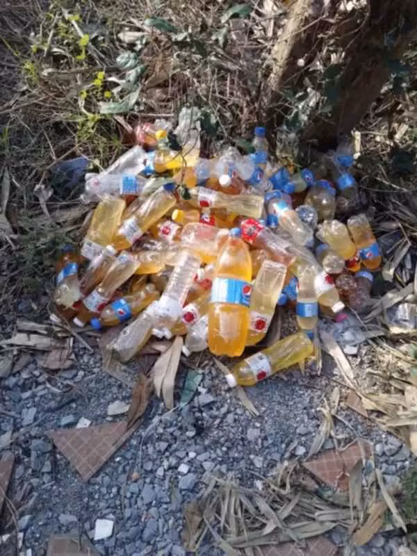 Người phụ nữ này có tổng cộng 10 phòng trong dãy nhà trọ của mình và đã làm công việc này suốt 8 năm, mọi thứ vẫn bình yên cho đến khi một thanh niên đến thuê cùng bạn gái tại căn phòng số 9.