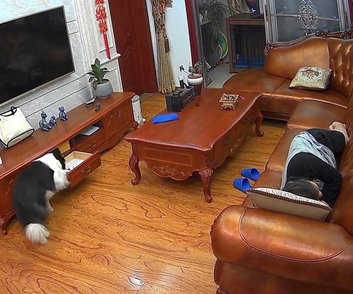 Đáng nói hơn nữa là sau khi “hành sự” xong xuôi, Mina còn biết mở ngăn tủ bên dưới tivi ra để giấu tiền.