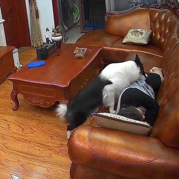 Những tưởng mọi chuyện sẽ trôi qua một cách bình thường như vậy thế nhưng bất ngờ xảy ra khi Mina lại chẳng hề “an tĩnh” như vẻ bề ngoài của nó.