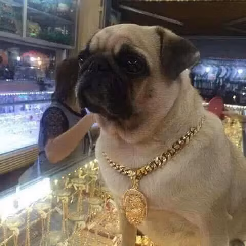 Chiếc lắc vàng lấp lánh được gắn thêm cả quả lắc vô cùng nổi bật được đeo chễm chệ vào chân trong ngày vía Thần Tài.