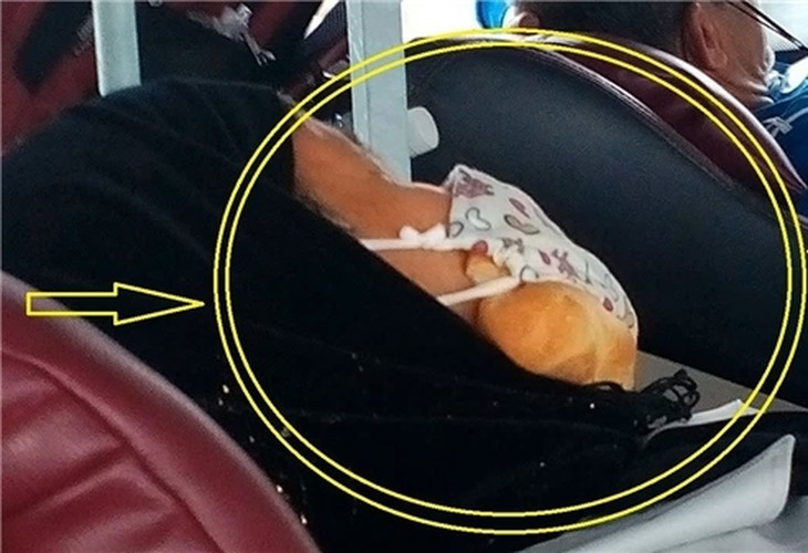 Nhiều người tự nhận say xe là "bệnh nan y" của mình, nhưng do được "tôi luyện" qua những chuyến xe đường dài, họ dần không còn cảm giác "lên xe - sống không bằng chết" nữa.