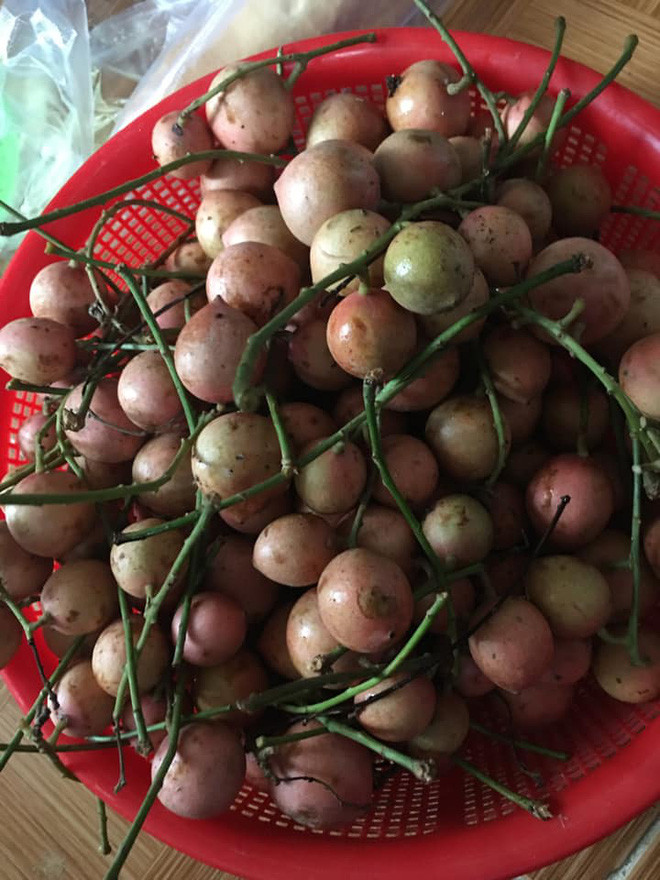 "Nhìn thôi đã thấy chảy nước miếng vì độ chua của nó. Đừng nghe người ta bảo nó ngọt mà bị đánh lừa!" hay "Ngày xưa ở quê mình người ta toàn ăn cả vỏ. Vỏ mềm lắm, chấm với muối ớt mà vẫn chua lè chua lét!" là những bình luận dân mạng để lại để nói về dâu da đất.