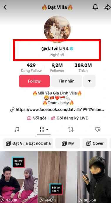 Dẫu vậy, điều này chưa đủ thành tích để Đạt Villa trở thành một "nghệ sĩ" - như thông tin anh chàng gắn tag trên kênh TikTok của mình. Việc sử dụng danh xưng này khiến cư dân mạng tỏ ra khá thắc mắc, thậm chí là phản đối.