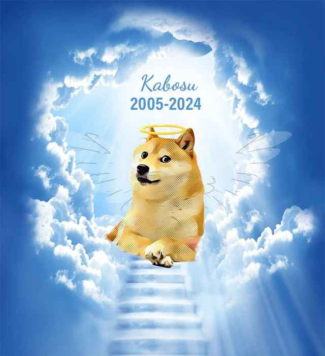 Đáng tiếc, vào ngày 23/5 vừa qua, chú chó Kabosu đã qua đời tại quê nhà ở Nhật Bản.
