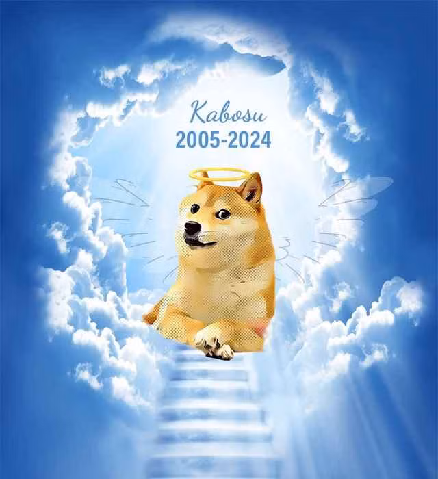 Đáng tiếc, vào ngày 23/5 vừa qua, chú chó Kabosu đã qua đời tại quê nhà ở Nhật Bản.