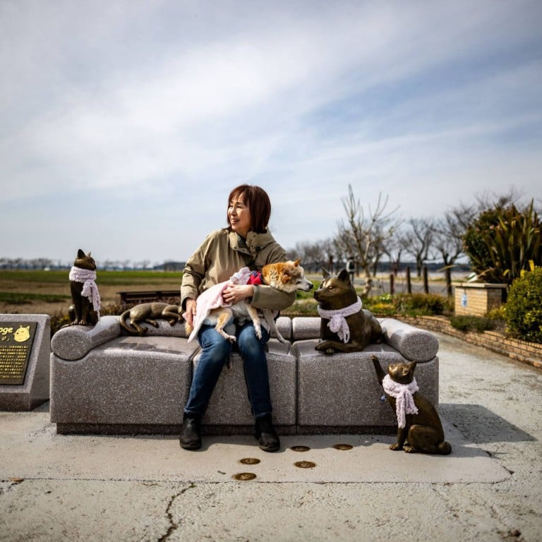 Vào cuối năm 2013, một loại tiền điện tử có tên Dogecoin được tạo ra, sử dụng hình ảnh Kabosu làm biểu tượng. Dogecoin ban đầu được tạo ra như một trò đùa, nhưng sau đó đã phát triển thành một loại tiền điện tử thực sự với một cộng đồng người hâm mộ đông đảo và đã đạt được giá trị đáng kể trên thị trường tiền điện tử.