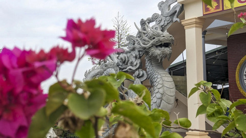 Một số ý kiến hóm hỉnh cho rằng đến thời điểm hiện tại thì Rồng Quảng Trị đang giữ vị trí "Nam vương".