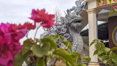 Một số ý kiến hóm hỉnh cho rằng đến thời điểm hiện tại thì Rồng Quảng Trị đang giữ vị trí "Nam vương".