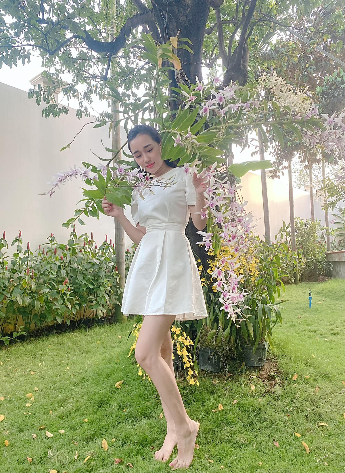 Tấn Tài không muốn tạo sự chú ý và muốn tổ chức tiệc kín đáo giữa hai gia đình.