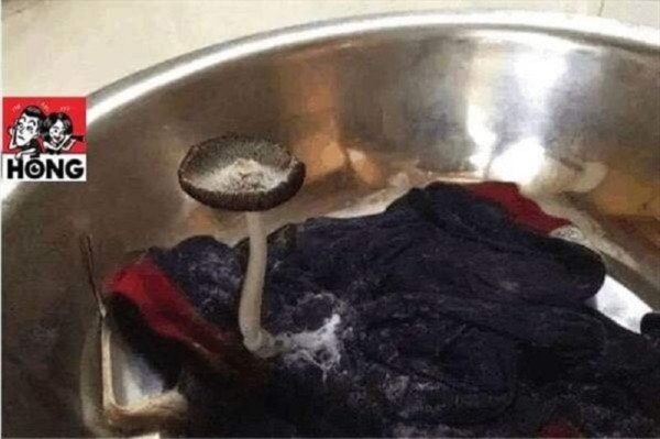 Căn phòng hóa bãi rác khi mọi thứ bị vứt la liệt, quần áo ngâm mấy ngày chưa giặt, thậm chí có chậu quần áo còn mọc nấm.