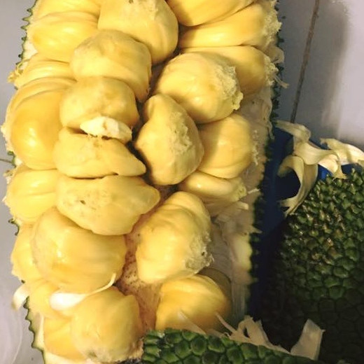 Chính bởi vậy, màn bổ mít tố nữ trên khiến cư dân mạng hào hứng và thi nhau để lại bình luận.