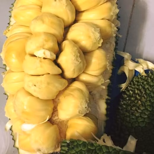 Chính bởi vậy, màn bổ mít tố nữ trên khiến cư dân mạng hào hứng và thi nhau để lại bình luận.