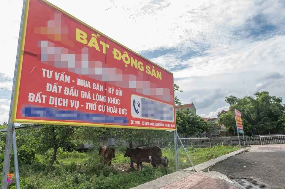 Theo một số nhà môi giới bất động sản, mức giá 133,3 triệu đồng/m2 đã thiết lập mặt bằng mới cho đất ở đây bởi giá này cao hơn nhiều so với thị trường khu vực xung quanh. Theo đó, đất tại trục chính đường gần khu đất đấu giá đang được giao dịch với giá khoảng 80-90 triệu đồng/m2. Còn các lô đất ngõ ôtô di chuyển đang dao động khoảng 60-65 triệu đồng/m2.