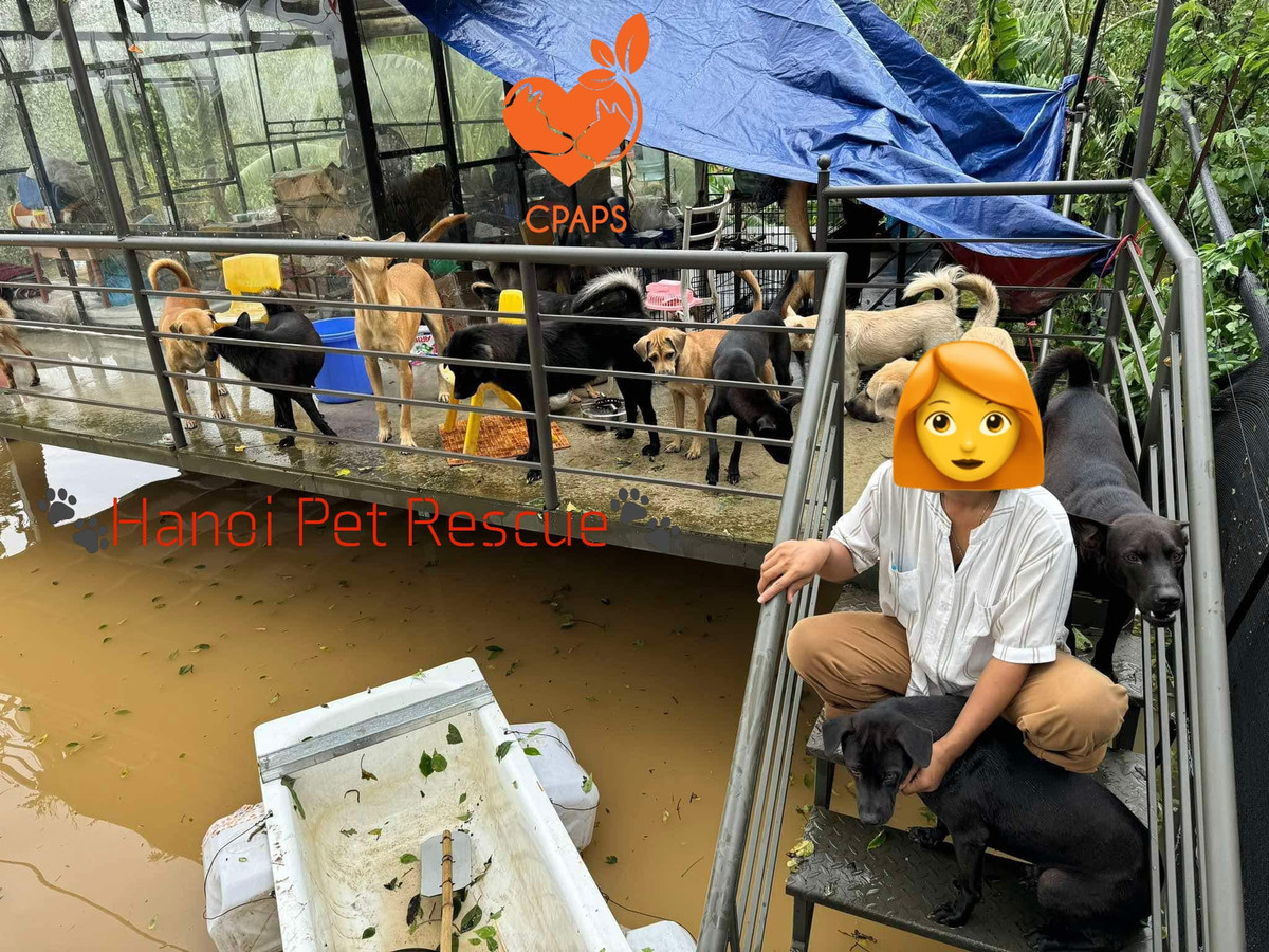 Bên cạnh đó, Trạm cứu hộ cũng xin mọi người ủng hộ mua lồng chuồng, dây xích, phí vận chuyển thuê thuyền bè, và thức ăn khô cho các bé.