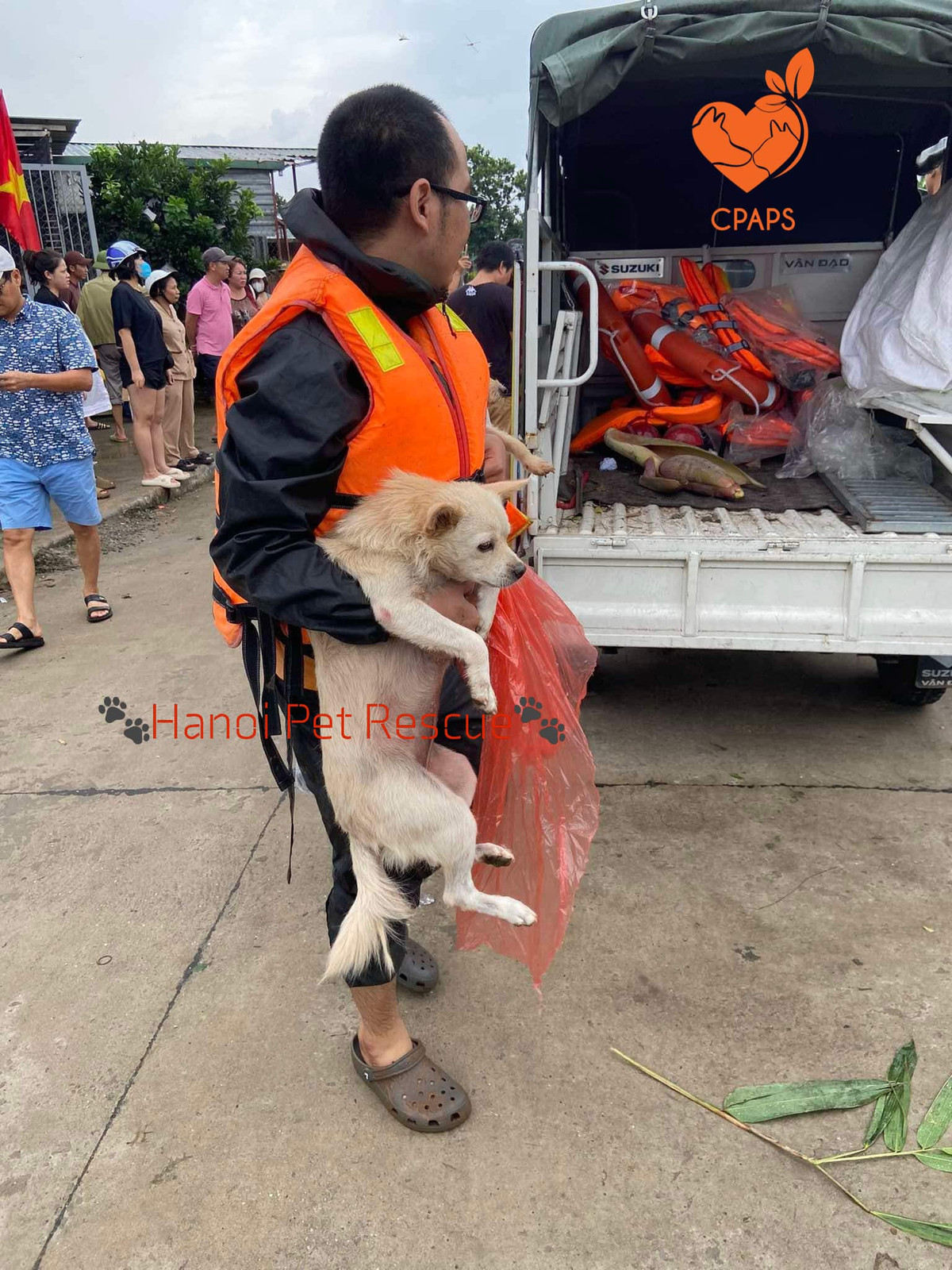 Trạm cho biết sẽ cố gắng hỗ trợ những em chó trong trạng thái cô lập này, chứ không thể đảm bảo sẽ đưa được tất cả các bé lên thuyền.
