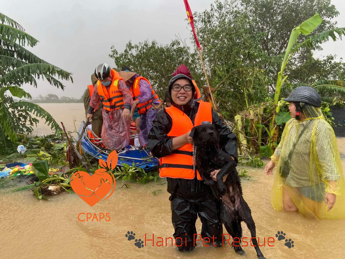 Trong những ngày qua, việc cứu nạn cho đàn chó gặp rất nhiều khó khăn. Bản thân những tình nguyện viên của Trạm cũng phải lên tiếng và mong mọi người đừng lên án bất kì quyết định nào của team, ví dụ như "sao không thể đưa hết 100 bé vào bờ"....