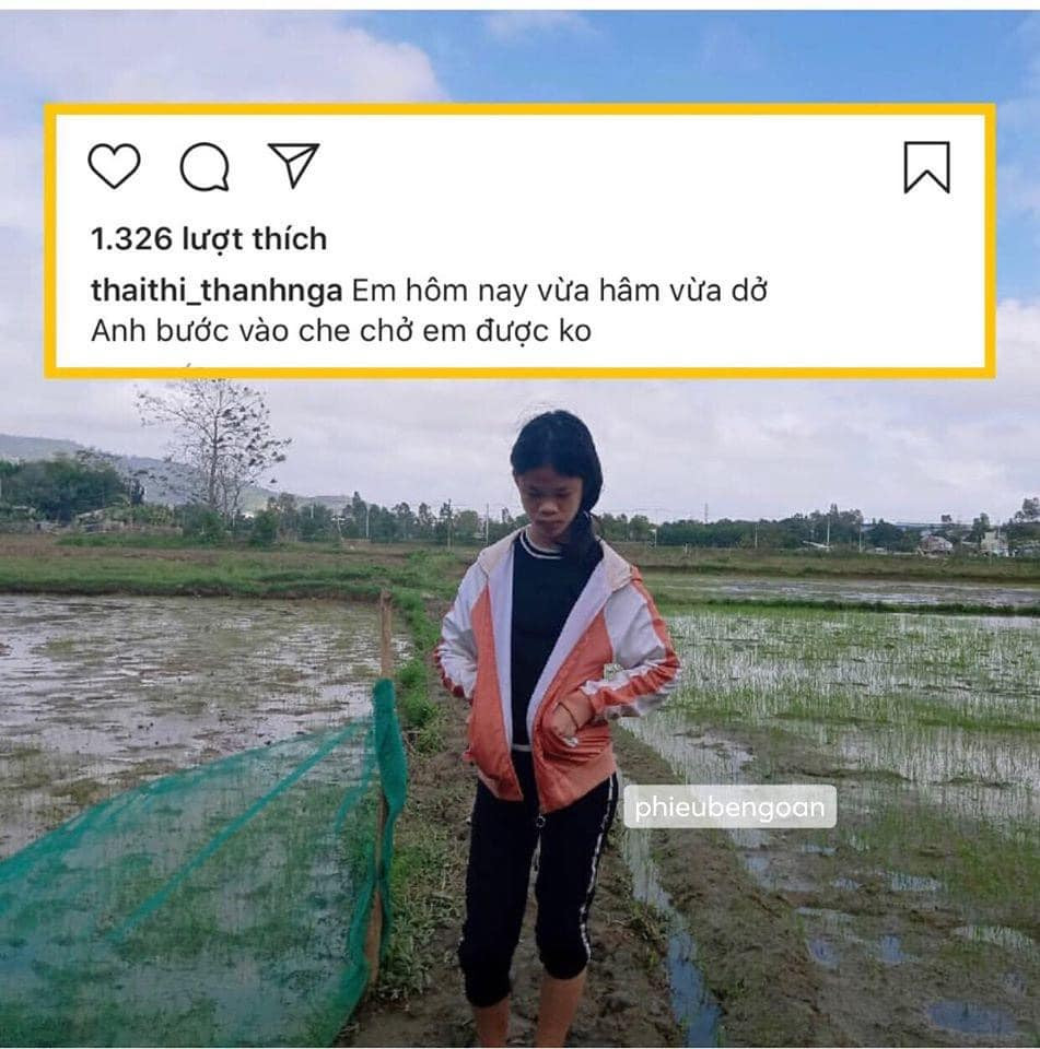 Dù chỉ là những câu thả thính được copy lại trên mạng nhưng sự xuất hiện của Thanh Nga Bento thu hút sự chú ý của netizen.