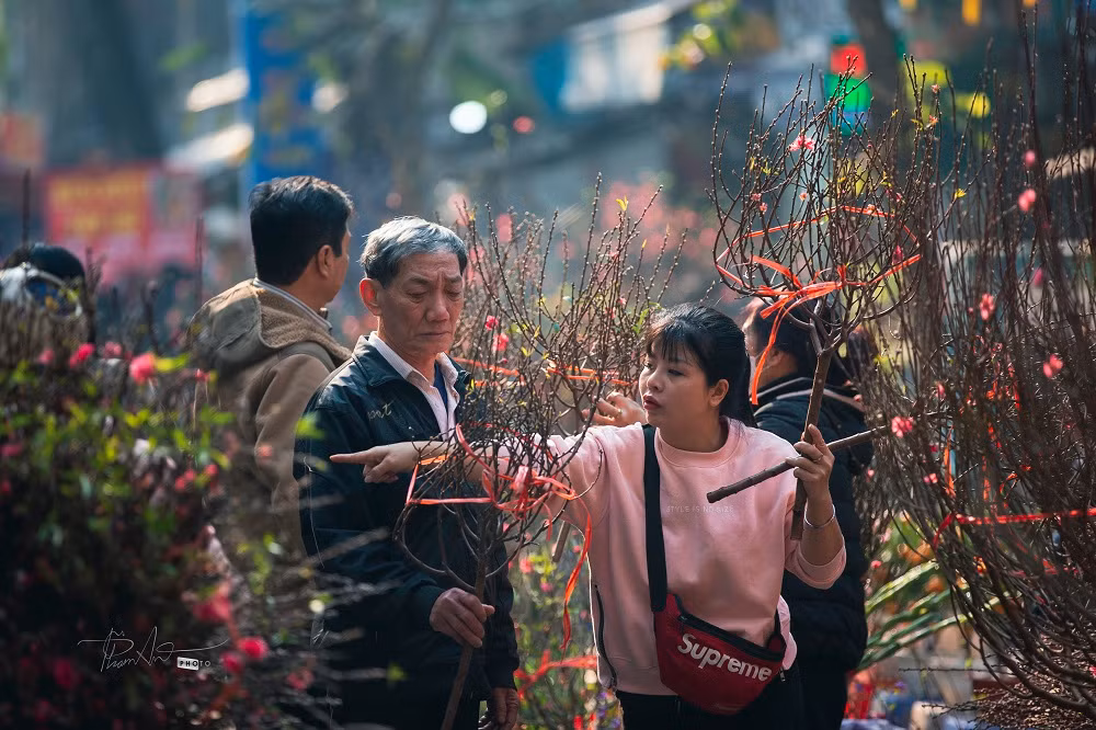 Có mặt tại khi phố Hàng Lược, nơi chợ hoa Tết lâu đời nhất nhì Thủ đô, nhiều người tranh thủ vừa thăm thú vừa chọn thêm cho gia đình những cành đào chơi Tết.