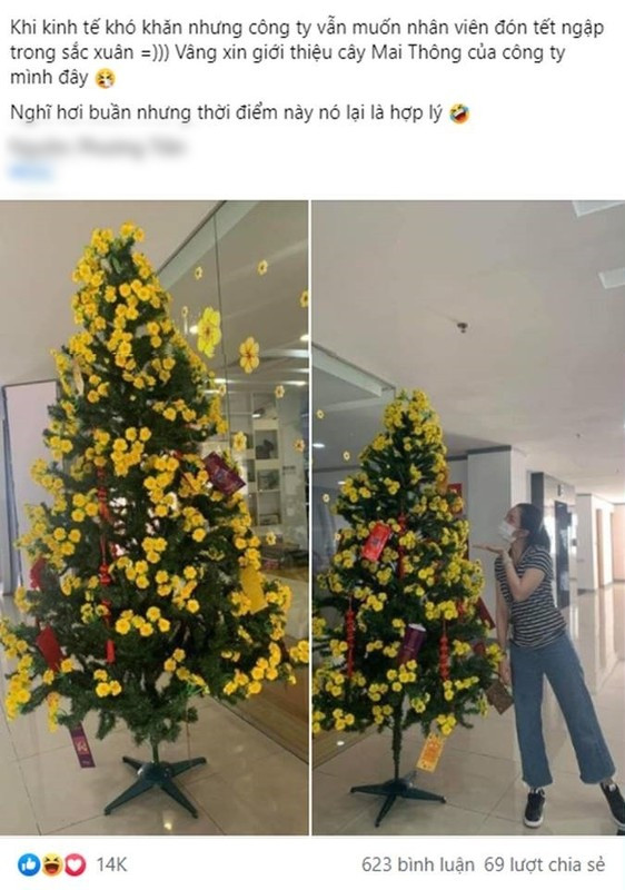 Tuyển tập những tác phẩm cây chưng Tết “fake” sau đây sẽ khiến bạn cười xỉu. Được cái chưng lên cũng lộng lẫy, ra không khí Tết lắm chứ chẳng đùa.