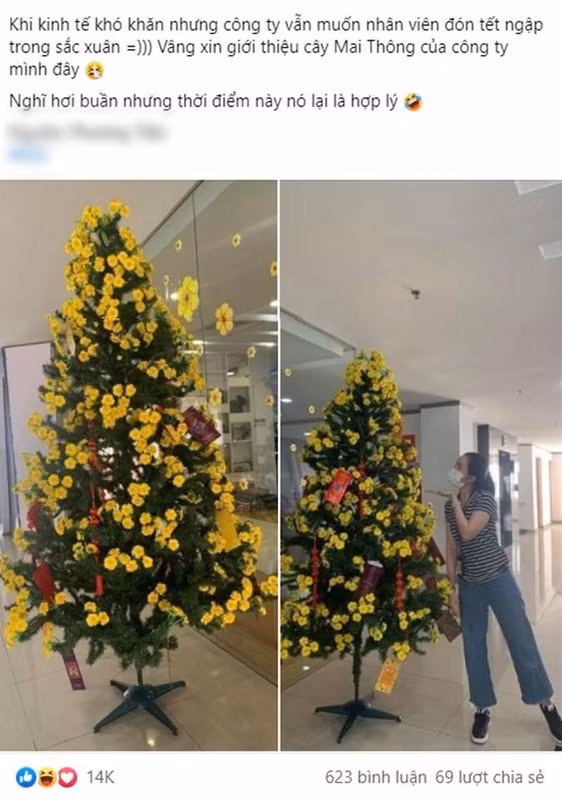 Tuyển tập những tác phẩm cây chưng Tết “fake” sau đây sẽ khiến bạn cười xỉu. Được cái chưng lên cũng lộng lẫy, ra không khí Tết lắm chứ chẳng đùa.