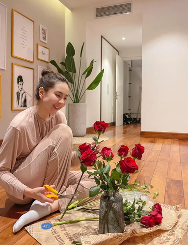 Trong một lần trò chuyện với bạn bè, Mai Ngọc tiết lộ chồng doanh nhân thường hay làm trò hài hước mỗi khi chụp ảnh. Do đó mà cô cũng ít có hình đẹp của chồng để đăng.