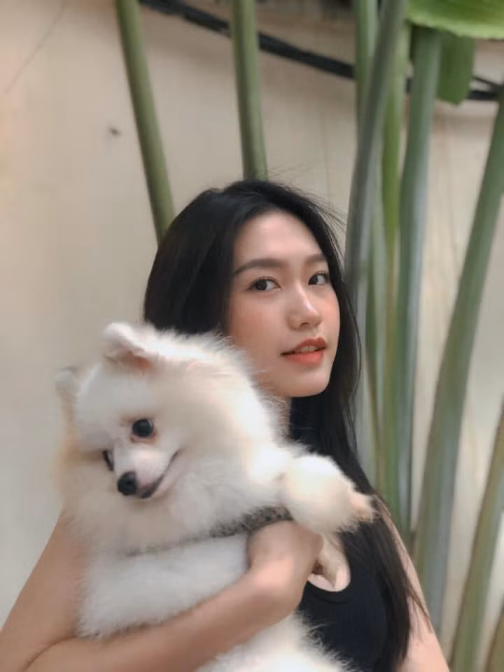 Xinh thôi chưa đủ, Hải My còn hé lộ cho nhiều người bảng thành tích học tập siêu khủng của mình.