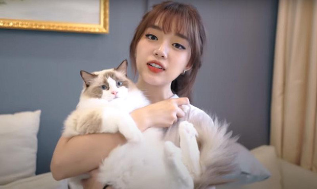 Đáng nói là trong quá khứ, Linh Ngọc Đàm từng từ bỏ hợp đồng có giá trị 400 triệu đồng/tháng để đầu quân cho một nền tảng livestream khác với mức lương khoảng 600 triệu đồng/tháng.