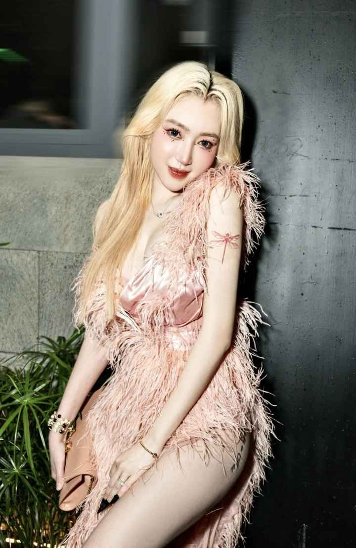 Sự việc Elly Trần đăng đàn tố chồng Tây hợp pháp thời điểm đó thu hút không ít sự chú ý của netizen.