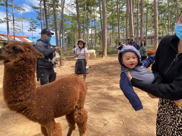 Ngắm bộ ảnh của em bé này, không ít bạn trẻ chỉ muốn "xách balo lên và đi" ngay đến thăm quan Đà Lạt. Số khác thì lại mong sớm có một em bé dễ thương thế này.