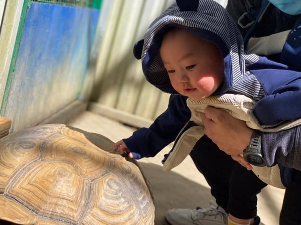 Chẳng cần tạo dáng cao siêu, chỉ cần nhoẻn miệng cười, bi bô nói… là đã khiến đối phương "lụi tim" vì Bíp.