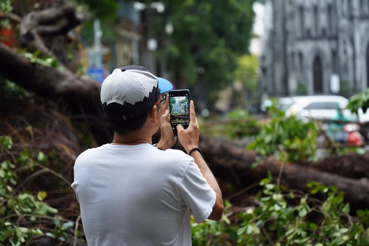 Theo ghi nhận của PV, sáng 8/9 trên nhiều tuyến phố Hà Nội hàng cây cổ thụ nằm ngổn ngang chắn ngang đường khiến người dân phải tìm cách đi lối khác.