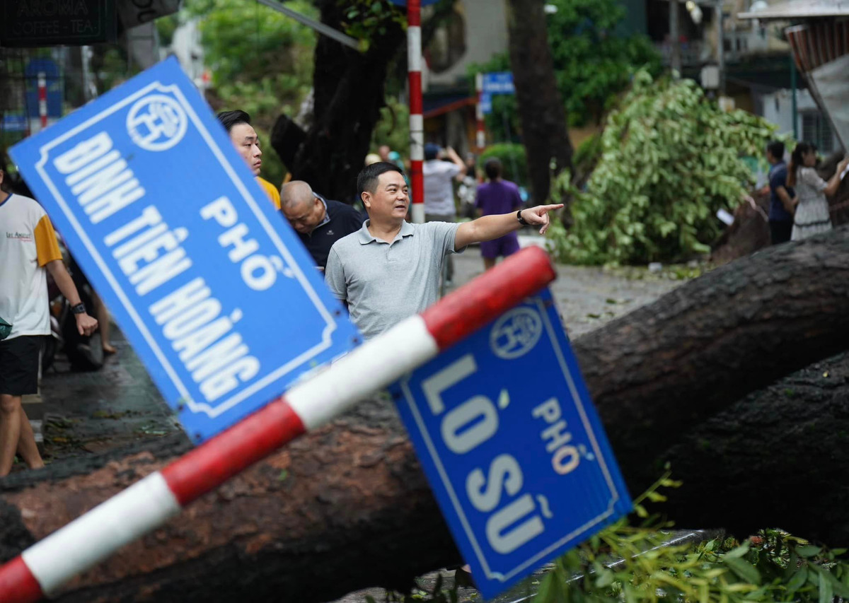 Ông Hoàng Xuân Thắng (Lò Sũ - Hoàn Kiếm) chia sẻ: "Tôi sinh ra lớn lên từ nhỏ ở khu phố Lò Sũ này, những cây cao là nơi chúng tôi thường xuyên ngồi hóng mắt, chơi quanh gốc cây. Nay nhìn thấy cảnh này xót xa lắm".