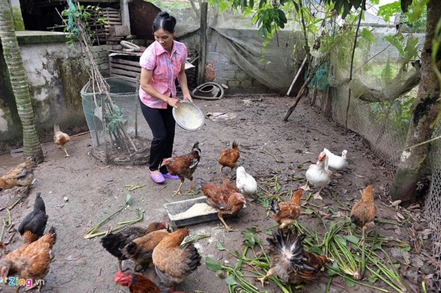 Trước đây, ông Thắng và vợ cùng với con trai lớn sống trong một ngôi nhà cấp 4 khá cũ kỹ, được xây dựng từ năm 1999, cùng năm mà Văn Hậu ra đời.