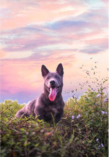 Tuy nhiên, dù vóc dáng có thay đổi ra sao thì đôi mắt lé, biểu cảm nhây nhây thích “cà khịa” vẫn không lẫn vào đâu được.