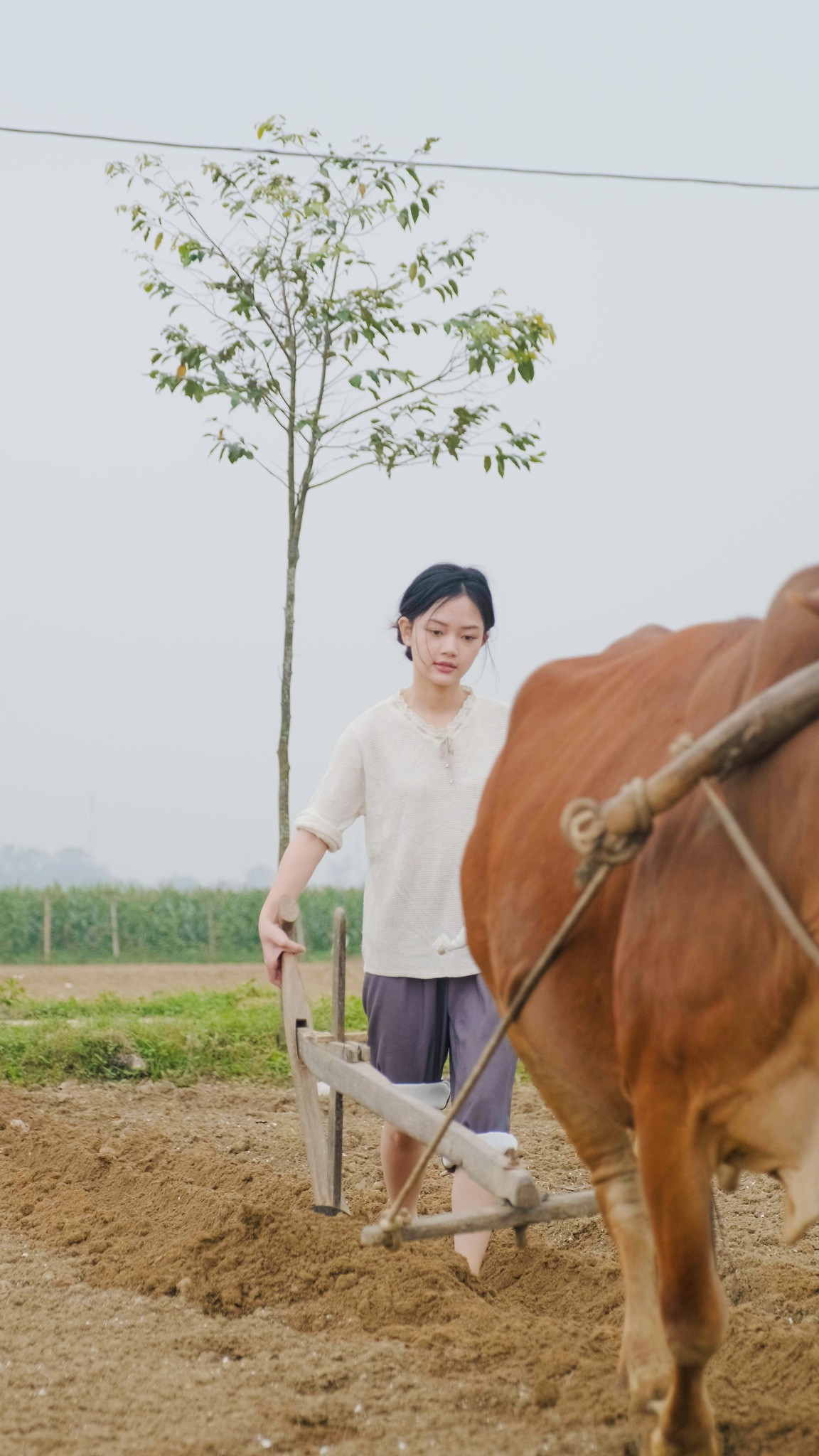 Gần đây, trên các diễn đàn mạng xã hội rôm rả chia sẻ video nấu các món ăn truyền thống của một hot girl thôn quê 10X tại Nghệ An.