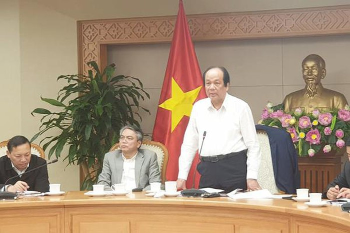 Tu tuan sau, ngoi nha nop phat vi pham giao thong, dong le phi truoc ba