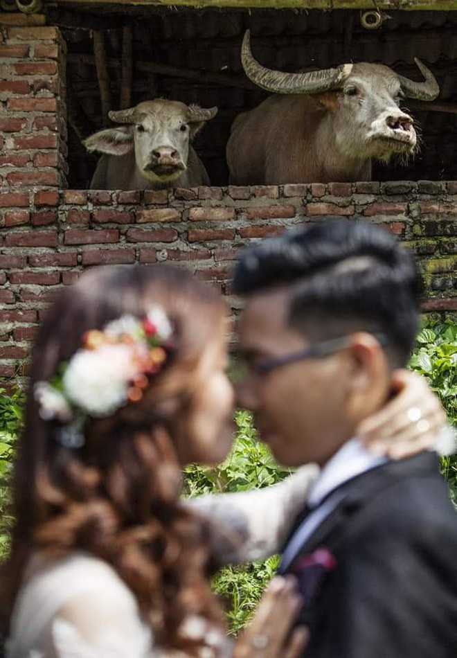 Hầu hết đều cho rằng cô dâu đã bị ekip chụp ảnh, make-up "dìm hàng" không thương tiếc và đánh tráo cảm xúc trong ngày vui của chính mình.