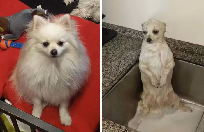 Tắm xong là hết "sống ảo".