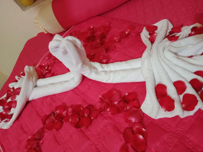 Mới đây, hình ảnh trang trí giường cưới của đôi vợ chồng gây chú ý trên mạng xã hội. Cụ thể, theo bài viết chia sẻ: "Đây là phòng cưới của anh nhà bác mình mọi người ạ. Anh ấy bảo đợi mình về trang trí nhưng mình về muộn quá. Về tới nơi bác gái mở cửa phòng ra và tự hào giới thiệu đây là tác phẩm bác làm.... Mình không hình dung được đây là con gì nhưng đáng yêu quá. Cũng may mình kịp thời nắn lại trước khi cô dâu, chú rể vào phòng".
