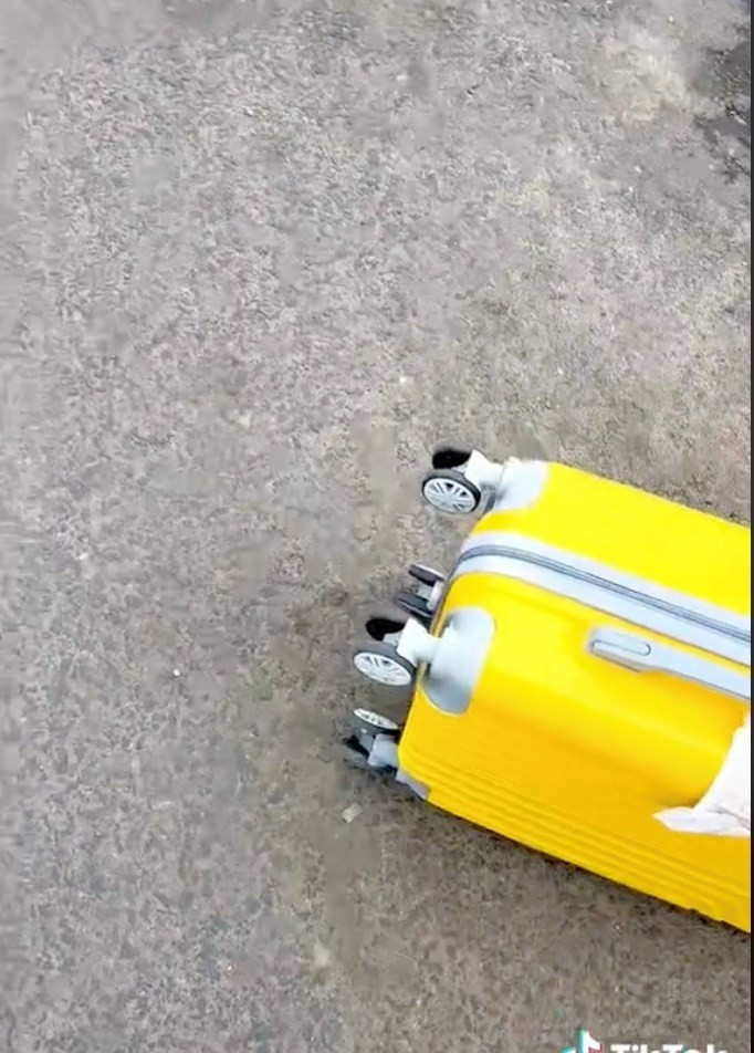 Cụ thể, khi đang đi trên đường, cô bất ngờ đụng phải thứ gì đó mềm mềm, nhúc nhích chỗ tay lái xe. Theo phản xạ, cô dùng tay để kéo thứ đó ra và bất ngờ phát hiện một "bé na" màu xanh đang nằm ngoan ngoãn bên trong.